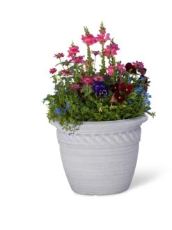 Cortina Self-Watering Planters 13 Cortina Self-Watering Planters -Garden Care 8600316 19838 tif