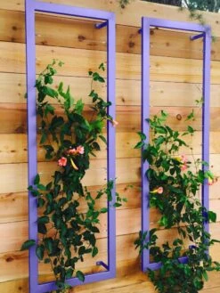 Ina Modern Wall Trellis Sr. 14 Ina Modern Wall Trellis Sr. -Garden Care 8600510 07V tif