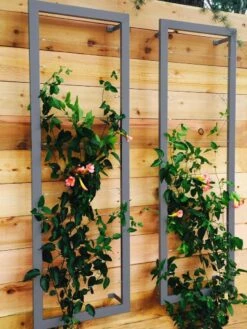Ina Modern Wall Trellis Sr. 12 Ina Modern Wall Trellis Sr. -Garden Care 8600510 08V jpg