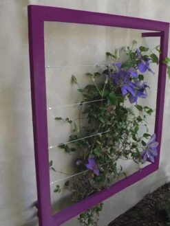 Ina Modern Wall Trellis Jr. -Garden Care 8600512 01V tif