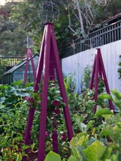 Akoris Garden Tuteur Jr. 15 Akoris Garden Tuteur Jr. -Garden Care 8600517 01V akoris garden tuteur tif 1