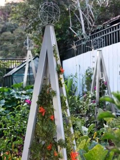 Akoris Garden Tuteur Jr. 14 Akoris Garden Tuteur Jr. -Garden Care 8600517 07V tif