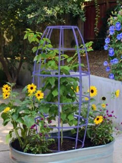 Toki Bubble Trellis -Garden Care 8600520 02V tif