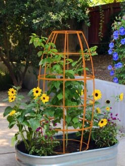 Toki Bubble Trellis -Garden Care 8600520 03V tif