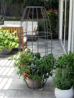 Toki Bubble Trellis -Garden Care 8600520 07V jpg