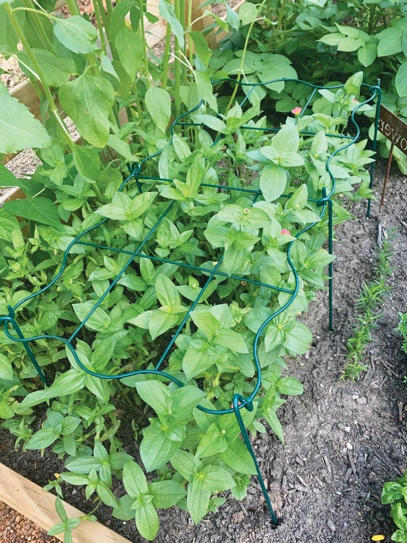 Cut Flower Grid Support, Set Of 2 3 Cut Flower Grid Support, Set Of 2