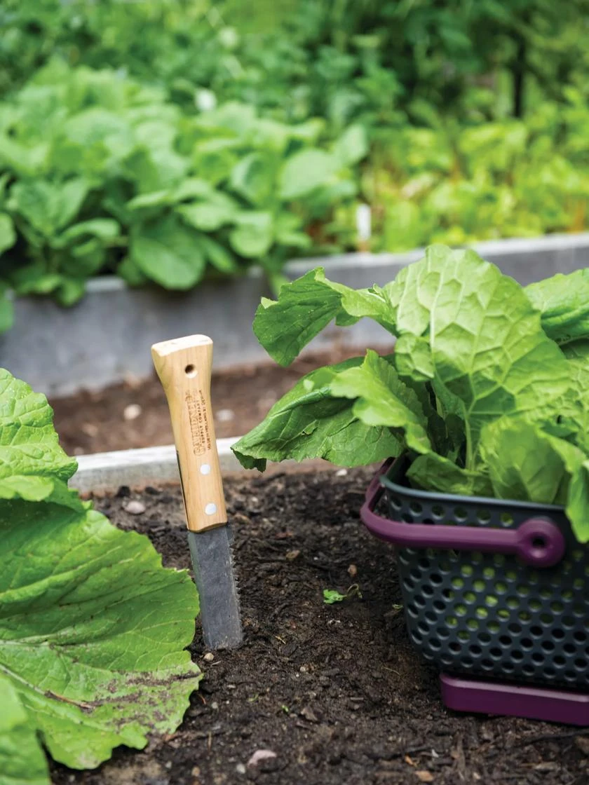 Gardener's Lifetime Hori Hori Knife 3 Gardener's Lifetime Hori Hori Knife