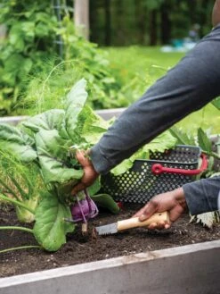 Gardener's Lifetime Hori Hori Knife 9 Gardener's Lifetime Hori Hori Knife -Garden Care 8608888 0422 tif