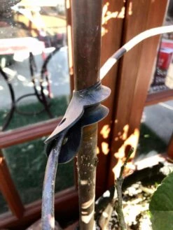 Garden Cane Connects, Set Of 6 -Garden Care 8609019 03V tif