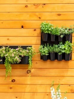 8 Pot Metal Wall Planter -Garden Care 8609195 6250 tif
