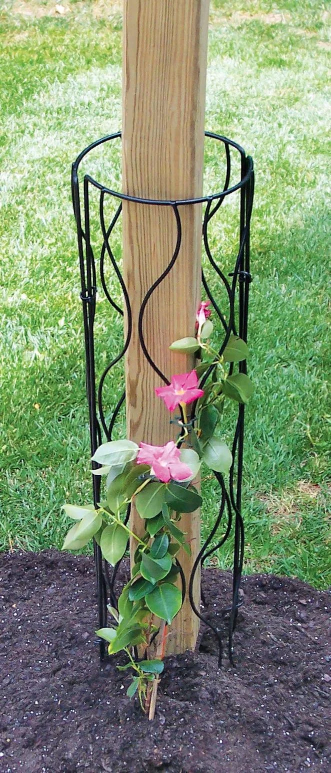 Bosmere Trellis For Mailbox Or Lamp Post 3 Bosmere Trellis For Mailbox Or Lamp Post
