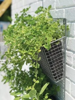 Wire Wall Pockets Vertical Gardens -Garden Care 8609429 9500 tif