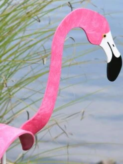 Florida Dancing Birds®, Flamingos 7 Florida Dancing Birds®, Flamingos -Garden Care 8609442HP 02V jpg