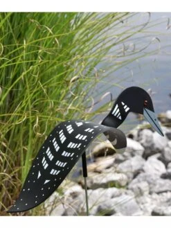 Florida Dancing Birds®, Loon -Garden Care 8609443 01V 3 4