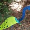 Florida Dancing Birds®, Peacock 1 Florida Dancing Birds®, Peacock -Garden Care 8609449 02V jpg