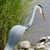 Florida Dancing Birds®, Great Blue Heron -Garden Care 8609451 02V jpg