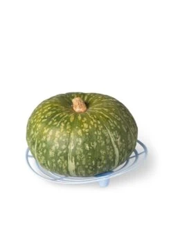 Melon And Squash Cradles, Set Of 6 8 Melon And Squash Cradles, Set Of 6 -Garden Care 8609464 5204 tif