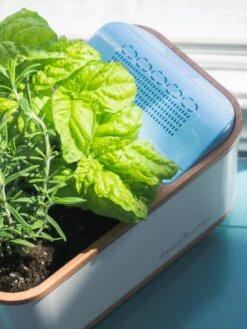 Dewplanter 10 Dewplanter -Garden Care 8609512 04V