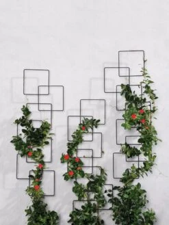 Building Blocks Wall Trellis, 45" 8 Building Blocks Wall Trellis, 45" -Garden Care 8610183 5811 tif