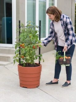 Gardener’s Victory Self-Watering Planter Garden Kit -Garden Care 8610239 06002 tif