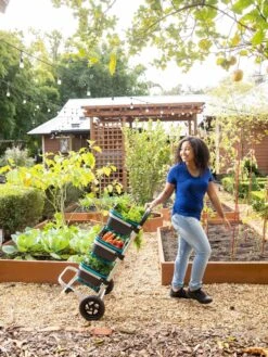 Mod Hod Trolley With Teal Mod Hods 9 Mod Hod Trolley With Teal Mod Hods -Garden Care 8610240 0070 tif