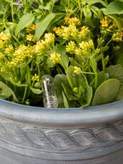 Adjustable Self-Watering Insert For Pots And Planters 21 Adjustable Self-Watering Insert For Pots And Planters -Garden Care 8610250 0010 tif