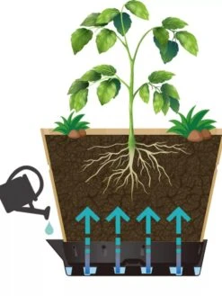 VegTrug® Build-a-Barrel Wooden Planter With Self-Watering Reservoir Tray, 18" 11 VegTrug® Build-a-Barrel Wooden Planter With Self-Watering Reservoir Tray, 18" -Garden Care 8610253 05V tif