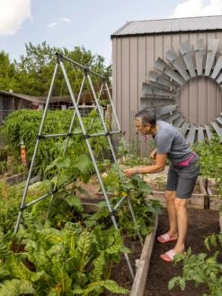 Connector Kit For DIY A Frame Plant Support -Garden Care 8610366 7584 tif