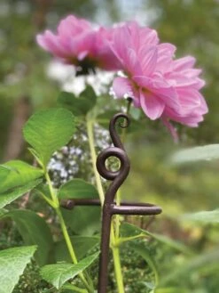 Garden Care -Garden Care 8610375 5701 tif