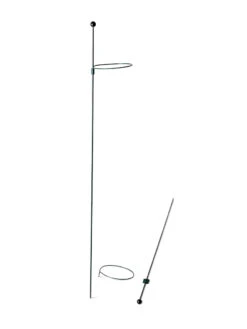 Peacock Mini Plant Support Rings 4", Set Of 2 -Garden Care 8610386 9566