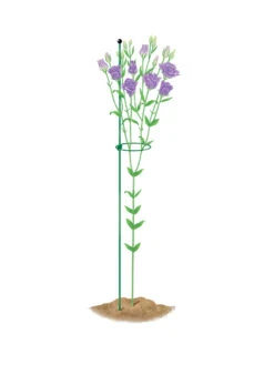 Peacock Mini Plant Support Rings 4", Set Of 2 -Garden Care 8610386 peacock4x36