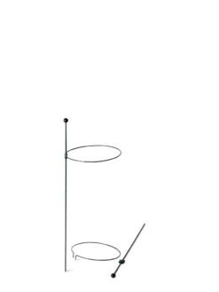 Peacock Mini Plant Support Rings 8", Set Of 2 -Garden Care 8610387 9571 tif