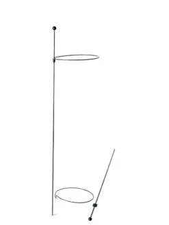 Peacock Mini Plant Support Rings 8", Set Of 2 -Garden Care 8610388 9565 tif