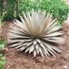 Desert Steel Yucca Plant Sculpture 1 Desert Steel Yucca Plant Sculpture -Garden Care 8610744 03v desert steel yucca plant