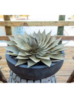 Desert Steel Spiral Aloe Sculpture 16 Desert Steel Spiral Aloe Sculpture -Garden Care 8610750 02v