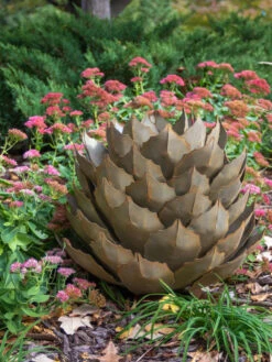 Desert Steel Artichoke Agave Sculpture -Garden Care 8610761 03v