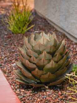 Desert Steel Artichoke Agave Sculpture -Garden Care 8610761 042v