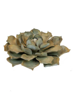 Desert Steel Blue Rose Succulent Sculpture -Garden Care 8610763 01v desert steel blue rose succulent small