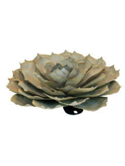 Desert Steel Blue Rose Succulent Sculpture -Garden Care 8610765 01v desert steel blue rose succulent medium