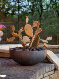 Desert Steel Prickly Pear Cactus Sculpture, Redondo 8 Desert Steel Prickly Pear Cactus Sculpture, Redondo -Garden Care 8610768 03v
