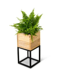 Tartu Elevated Square Planters 19 Tartu Elevated Square Planters -Garden Care 8611004 038
