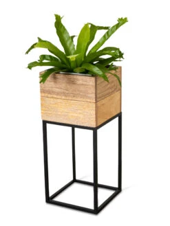 Tartu Elevated Square Planters 20 Tartu Elevated Square Planters -Garden Care 8611005 036