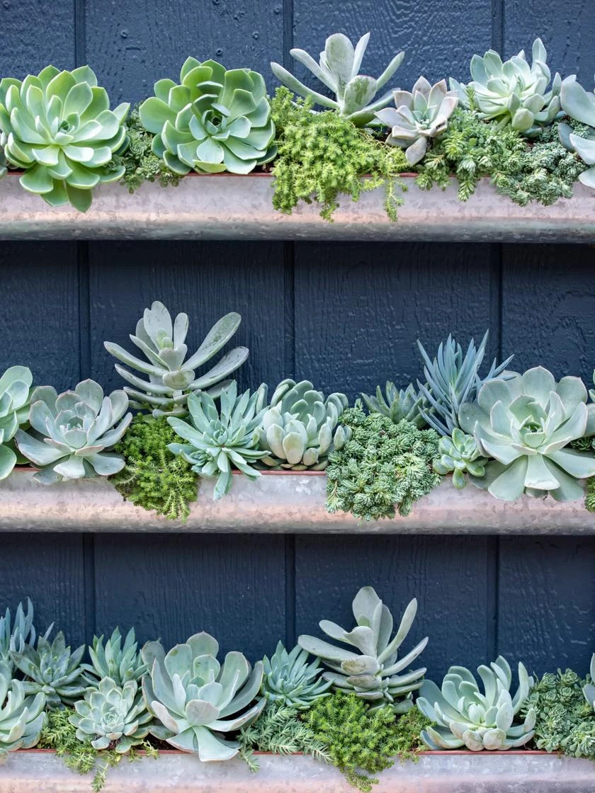 3-Tier Vertical Wall Planter, 3' 5 3-Tier Vertical Wall Planter, 3' - Image 4