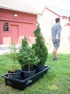 Gardener's Summer Sled 10 Gardener's Summer Sled -Garden Care 8611044 237 tif