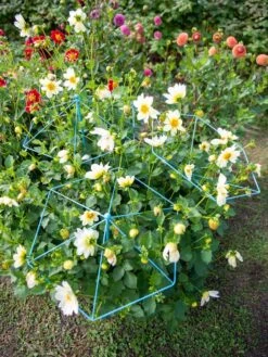 Garden Care -Garden Care 8611129 004 tif