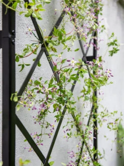 Lattice Gable Wall Trellis -Garden Care 8611130 011