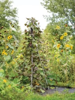 DIY Connector For Teepee Trellis -Garden Care 8611896 062 tif