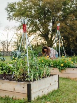 DIY Connector For Teepee Trellis -Garden Care 8611896 38 tif