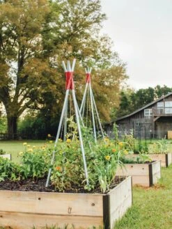 DIY Connector For Teepee Trellis -Garden Care 8611896 71 tif