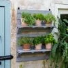 VegTrug® Herb Rack 1 VegTrug® Herb Rack -Garden Care 8611930 6402 tif